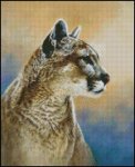 (image for) Golden Cat